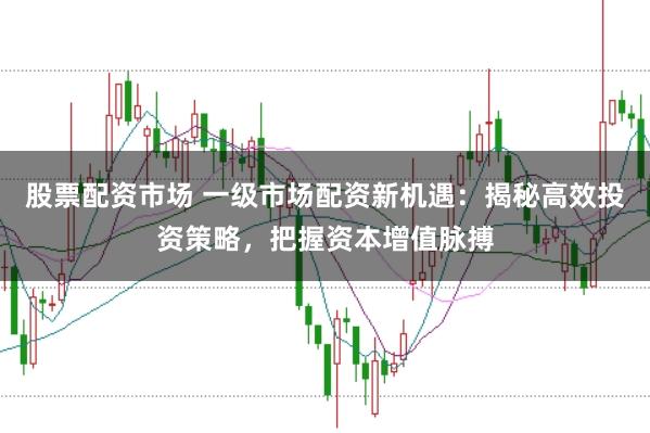 股票配资市场 一级市场配资新机遇：揭秘高效投资策略，把握资本增值脉搏
