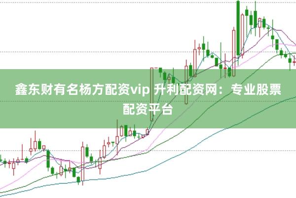 鑫东财有名杨方配资vip 升利配资网：专业股票配资平台
