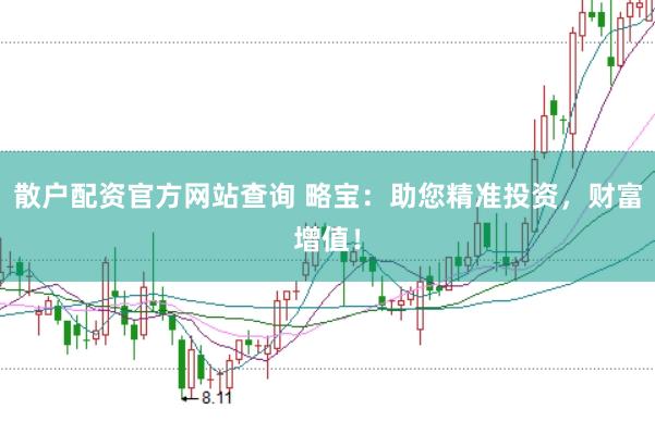 散户配资官方网站查询 略宝：助您精准投资，财富增值！
