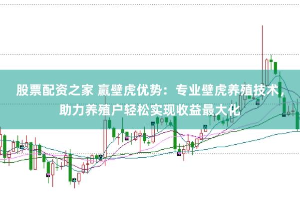 股票配资之家 赢壁虎优势：专业壁虎养殖技术，助力养殖户轻松实现收益最大化