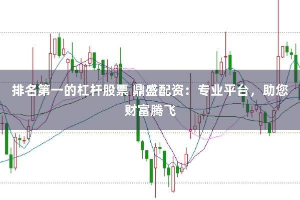 排名第一的杠杆股票 鼎盛配资：专业平台，助您财富腾飞