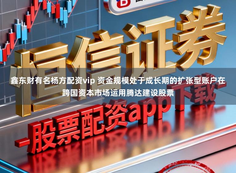 鑫东财有名杨方配资vip 资金规模处于成长期的扩张型账户在跨国资本市场运用腾达建设股票