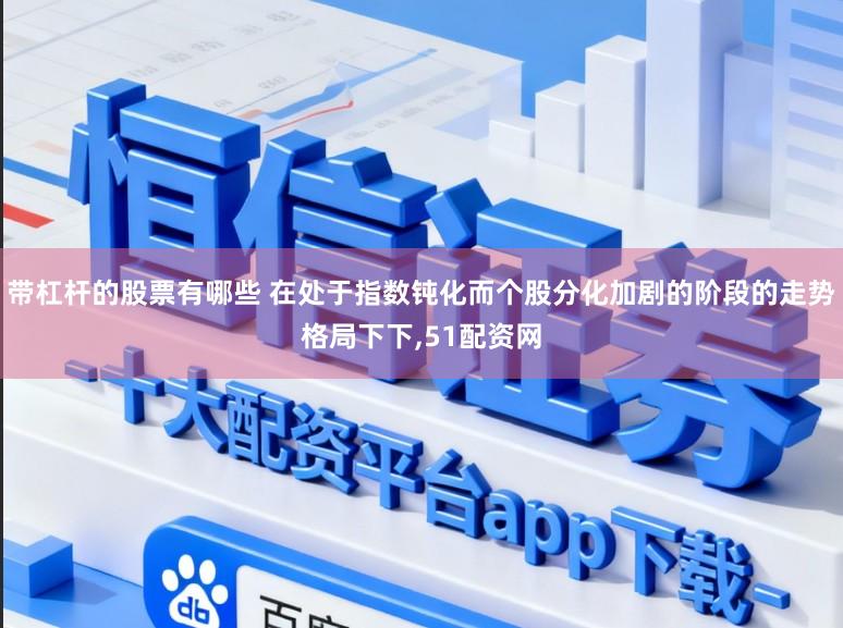 带杠杆的股票有哪些 在处于指数钝化而个股分化加剧的阶段的走势格局下下,51配资网