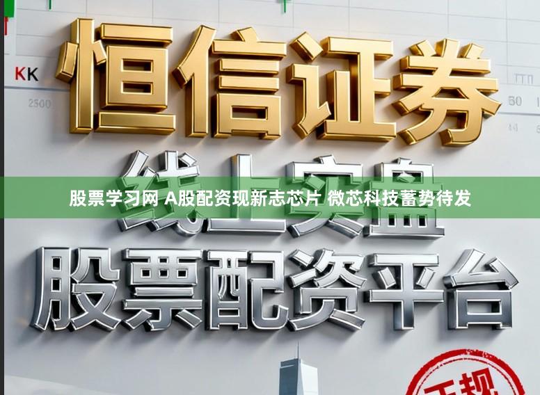 股票学习网 A股配资现新志芯片 微芯科技蓄势待发