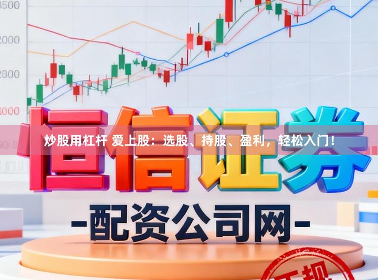 炒股用杠杆 爱上股：选股、持股、盈利，轻松入门！