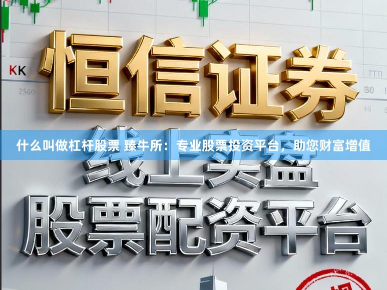 什么叫做杠杆股票 臻牛所：专业股票投资平台，助您财富增值